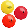 Readers Indoor Cricket Ball