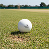 Readers Cricket Windball