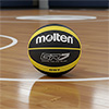 Molten GR Official Basketball