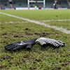 Gilbert International Rugby Gloves
