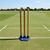 Harrod Sport Pro Flex Cricket Stump