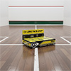 Dunlop Pro Squash Ball