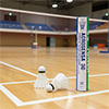 Yonex Aerosensa 30 Feather Shuttlecocks 12 Pack