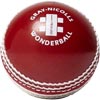 Gray Nicolls Cricket Wonderball