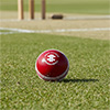 Gray Nicolls Cricket Wonderball