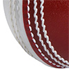 Gray Nicolls Cricket Wonderball