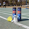 Echelon E100 Badminton Shuttlecocks