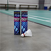 Echelon E500 Badminton Shuttlecocks