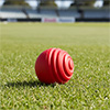 Gray Nicolls Wobbleball Cricket ball