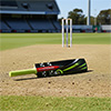 Gray Nicolls Cloud Catcher Coaching Cricket Bat