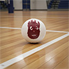 Wilson Mr Wilson Cast Away Volleyball