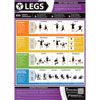PosterFit Legs Exercise Poster