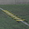 Ziland Agility Flat Rung Speed Ladder