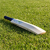 Aresson Flatty Rounders Bat