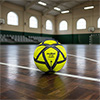 Molten Indoor Football
