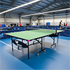 Butterfly ID1 Indoor Table Tennis Table