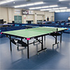 Butterfly ID2 Indoor Table Tennis Table