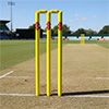 Gray Nicolls Neon Club Cricket Stumps