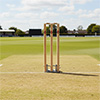 Gray Nicolls Spring Return Stumps