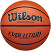 Wilson Evolution Basketball