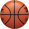 Wilson Evolution Basketball