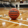 Wilson Evolution Basketball
