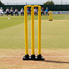 Elders Pro Kwik Cricket Stump
