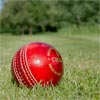 Elders Club Cork Cricket Ball Sale