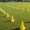 Ziland Academy Pro Training Cone