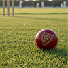 Gray Nicolls Crest Elite Cricket Ball