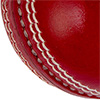 Gray Nicolls Crest Elite Cricket Ball