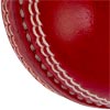 Gray Nicolls Crest Academy Cricket Ball