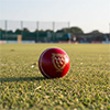 Gray Nicolls Crest Academy Cricket Ball