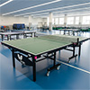 Butterfly ID5 Indoor Table Tennis Table