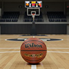 Wilson Reaction Pro Basketball