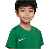 Nike Park 20 Little Kids Kit