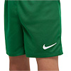 Nike Park 20 Little Kids Kit