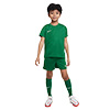 Nike Park 20 Little Kids Kit