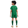 Nike Park 20 Little Kids Kit