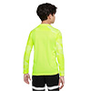 Nike Park IV Long Sleeve Junior Goalkeeper Jersey