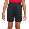 Nike Academy Pro Junior Knit Short