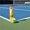 Wilson Championship Tennis Balls 4 Pack 