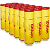 Wilson Championship Tennis Balls 4 Pack 