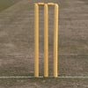 Elders Club Wooden Cricket Stumps