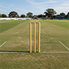 Elders Club Wooden Cricket Stumps