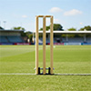 Elders Club Spring Return Wooden Cricket Stumps