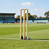 Elders Club Spring Return Wooden Cricket Stumps