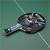 Butterfly Timo Boll SG77 Table Tennis Bat