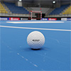 Eurohoc International Match Cork Hockey Ball