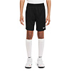 Nike Park 20 Junior Training Short 